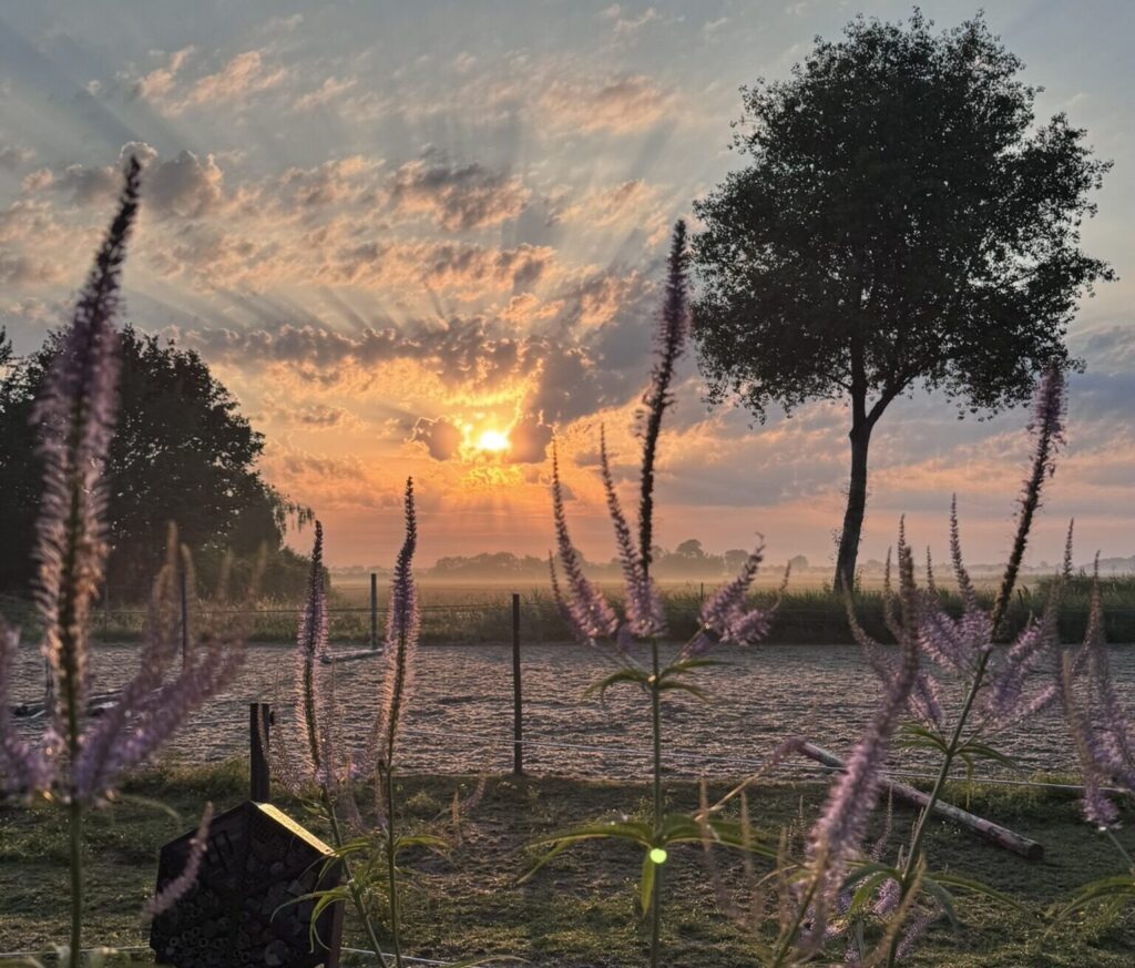 Kruidentuin van Duynhof bij zonsondergang in Scharendijke, Zeeland