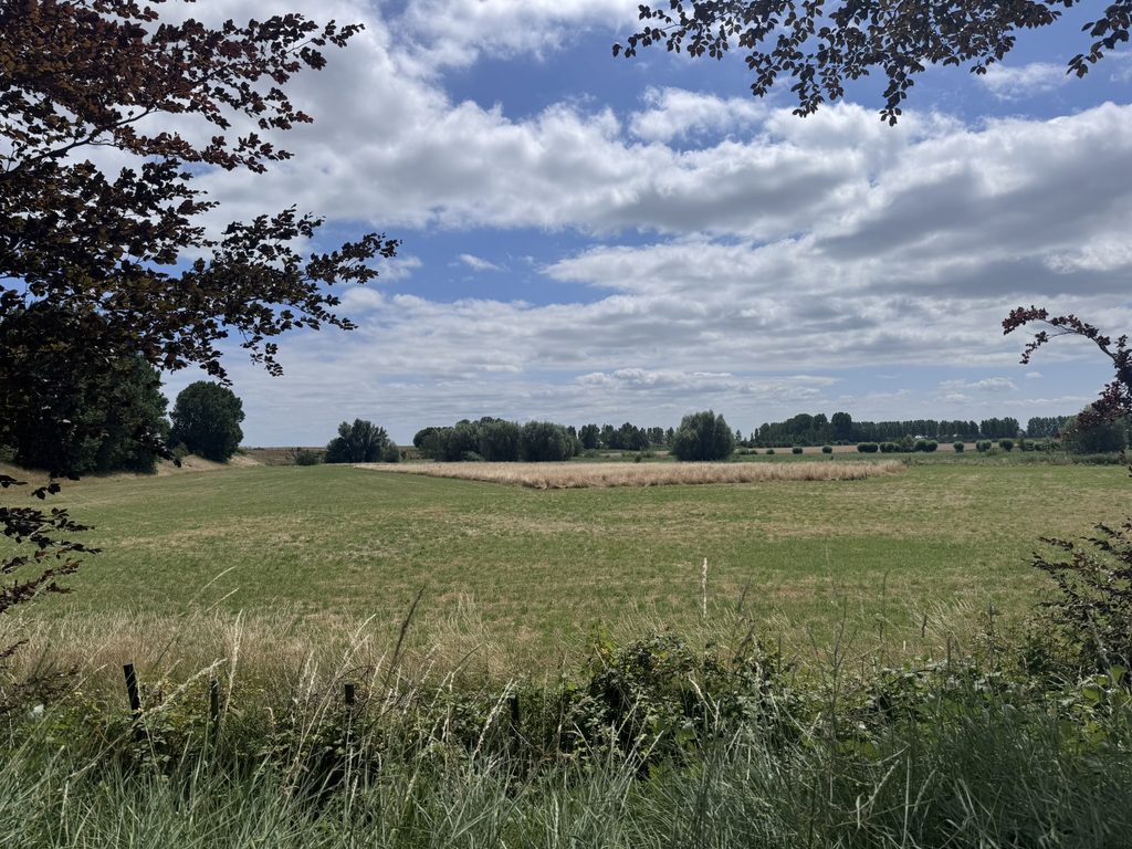 Zeeuws landschap met dijk en extensief beheerd weiland